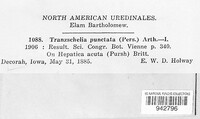 Tranzschelia discolor image